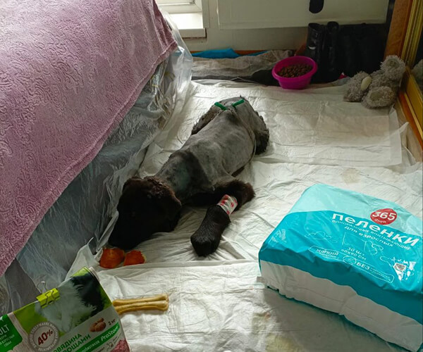 Фотография