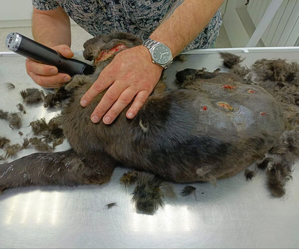 Фотография