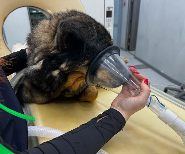 Кадр из видео