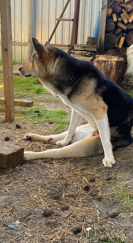 Кадр из видео